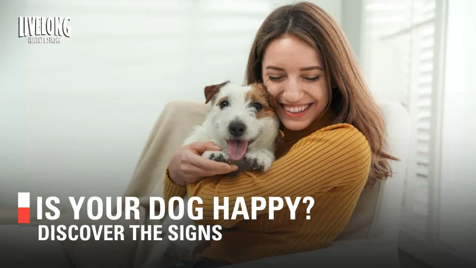 How to Know If Your Dog Is Happy